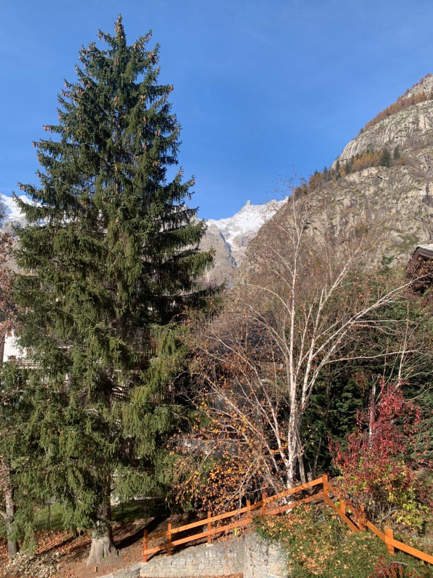 Foyer Grand Ru Apartment Courmayeur Exterior photo